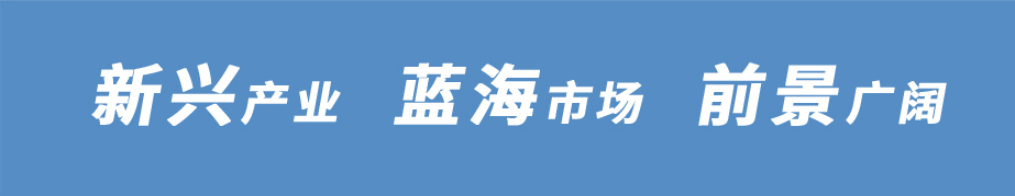 市場(chǎng)分析_11.jpg